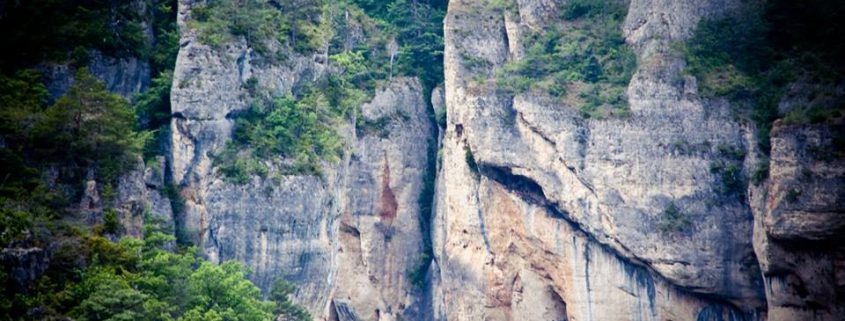 le107 saut elastique gorges tarn falaise