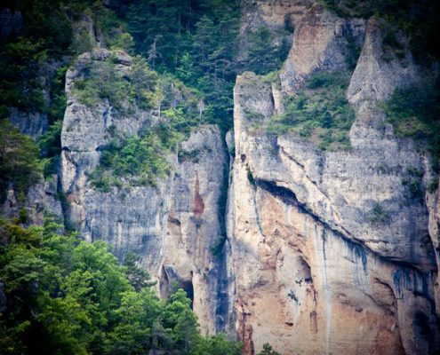 le107 saut elastique gorges tarn falaise